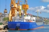 PANDA_30-04-2012_5.JPG