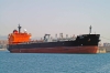torm_fox_12-07-2010_1.JPG