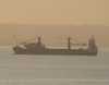 AL_SALMY_7__17-08-2021_6.jpg